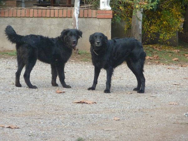 Az Agr. Pietra Serena B&B - foto 26296.jpg