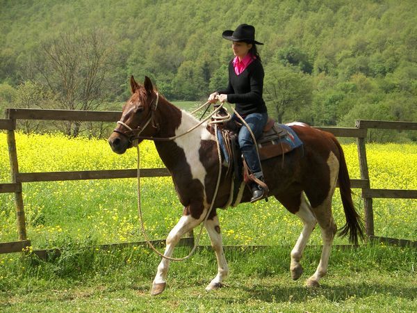 Az Agr. Pietra Serena B&B - foto 26298.jpg