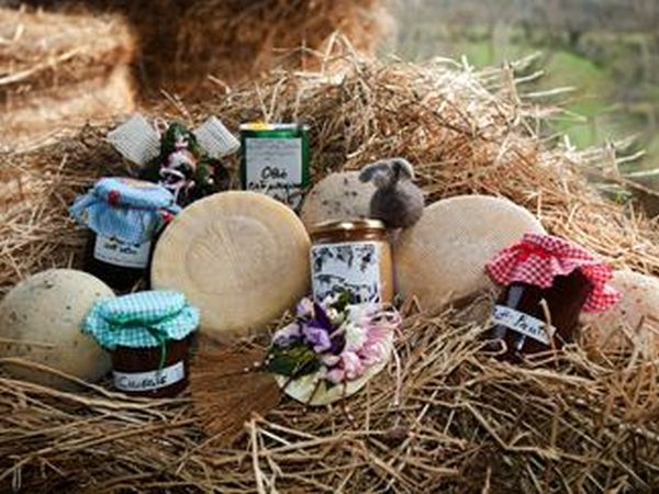 Az Agr. Pietra Serena B&B - foto 26299.jpg