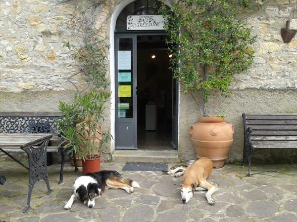 Agriturismo San Ottaviano - foto 26324.jpg