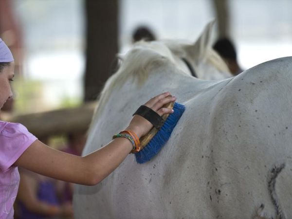Hotel & Club Village Spiaggia Romea - foto 26406.jpg