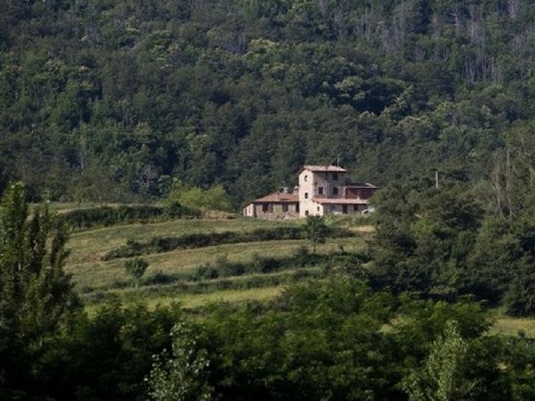 Agriturismo Il Cucciolo - foto 26409.jpg