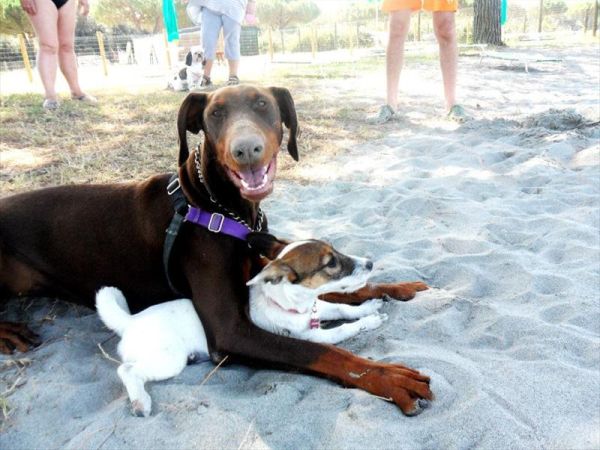 Spiaggia Romea Bau Village - foto 26438.jpg