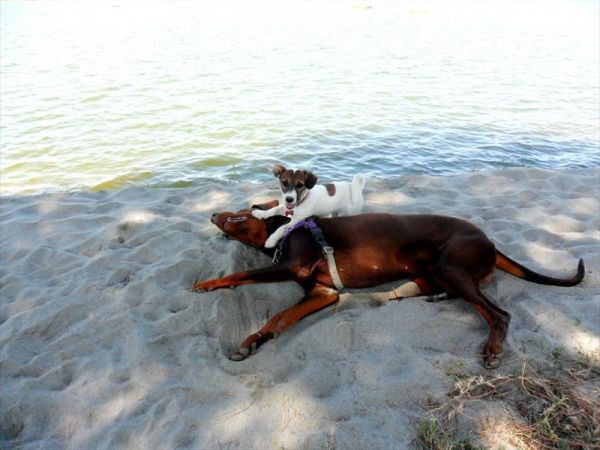 Spiaggia Romea Bau Village - foto 26440.jpg