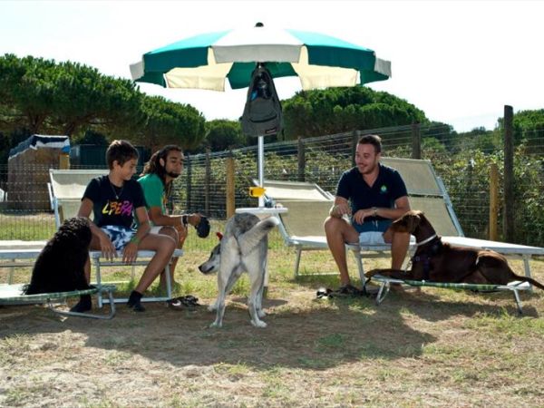 Spiaggia Romea Bau Village - foto 26442.jpg