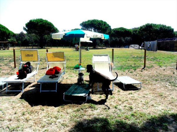 Spiaggia Romea Bau Village - foto 26449.jpg