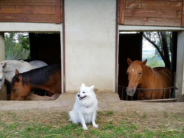 Agriturismo Ripaiani - foto 26506.jpg