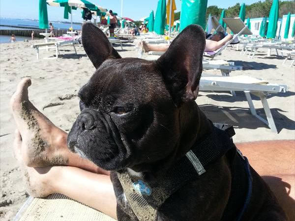 Spiaggia Romea Bau Village - foto 26516.jpg