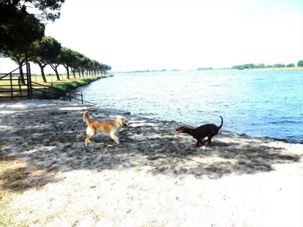 Spiaggia Romea Bau Village - foto 26521.jpg