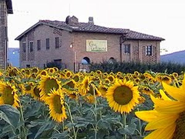 Casa di Campagna in Toscana - foto 26592.jpg