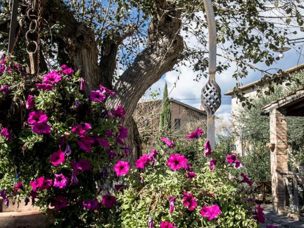 Casa di Campagna in Toscana - foto 26598.jpg