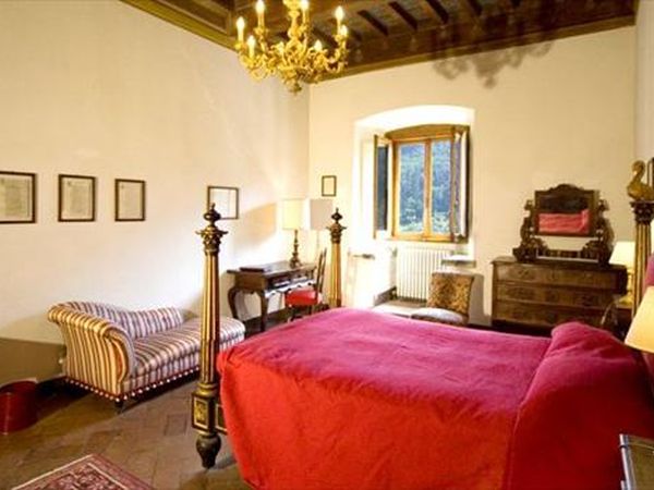 Pet therapy firenze Pet therapy firenze