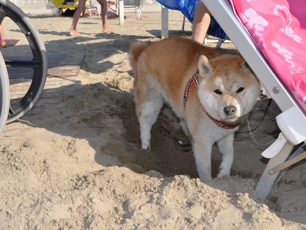 Bagno Egisto 38 - foto 26700.jpg