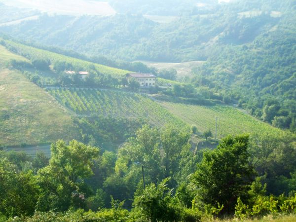 Agriturismo La Colombarola - foto 26721.jpg