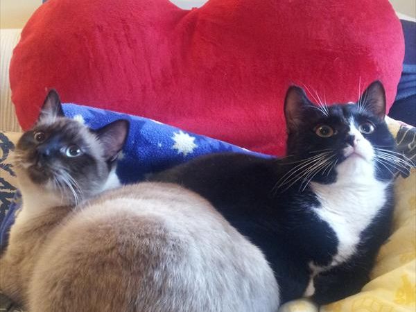 Agenzia Turistica MC - foto 26820.jpg