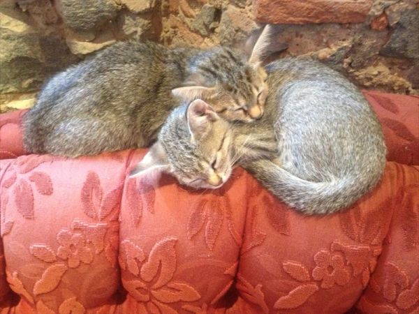 Agriturismo SS Annunziata - foto 26827.jpg