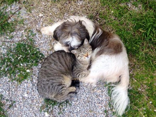 Agriturismo SS Annunziata - foto 26830.jpg