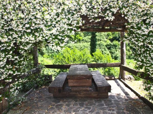 Agriturismo Barbicaio - foto 26879.jpg