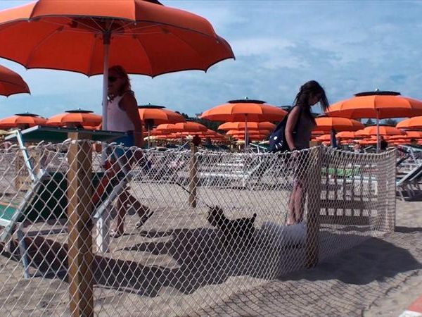 Bagno 84 Graziano Rimini - foto 26881.jpg