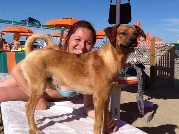 Bagno 84 Graziano Rimini - foto 26887.jpg