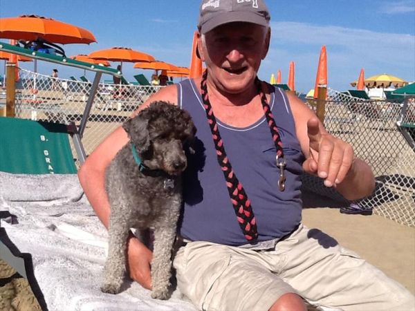 Bagno 84 Graziano Rimini - foto 26888.jpg