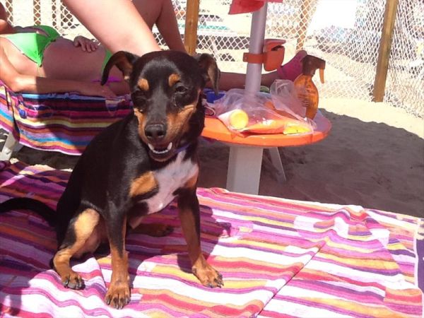 Bagno 84 Graziano Rimini - foto 26889.jpg