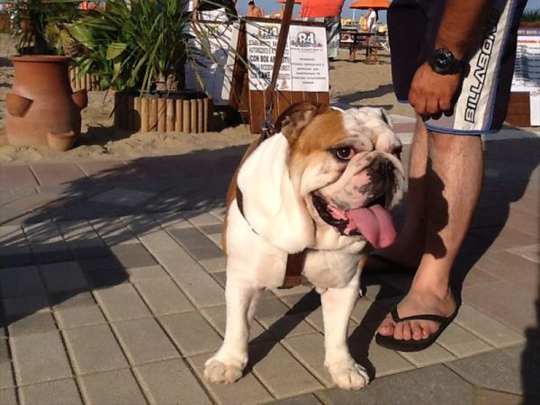 Bagno 84 Graziano Rimini - foto 26891.jpg