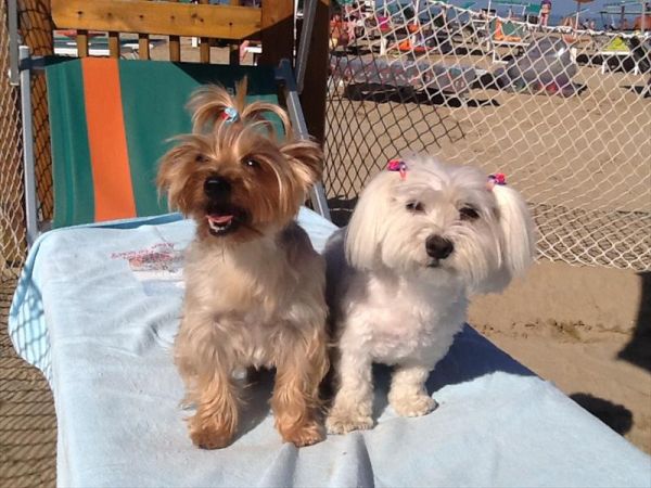 Bagno 84 Graziano Rimini - foto 26894.jpg