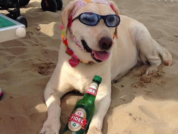 Bagno 84 Graziano Rimini - foto 26897.jpg