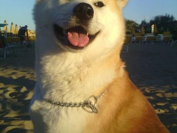 Bagno 84 Graziano Rimini - foto 26899.jpg