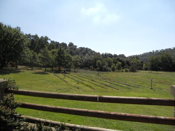 Il Casale delle Ginestre - foto 26917.jpg