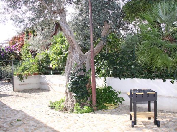 Agriturismo Ulisse e Calipso  - foto 26953.jpg