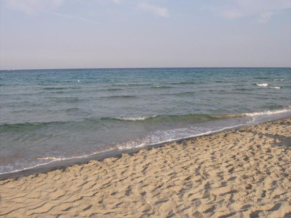 Camping Marina di Roma - foto 27084.jpg