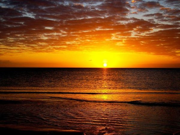 Camping Marina di Roma - foto 27085.jpg