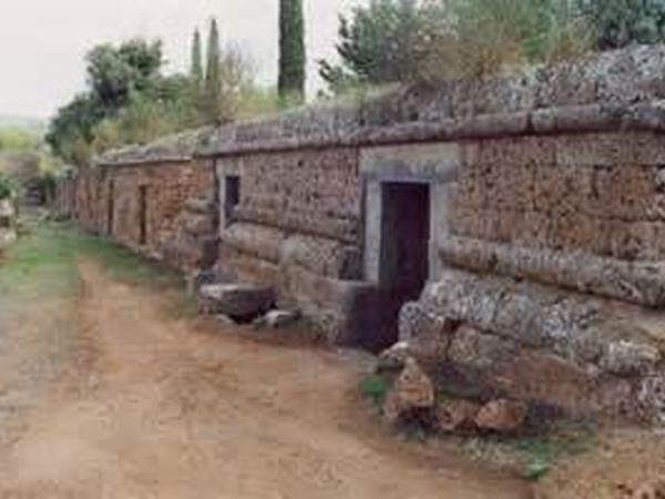 Camping Marina di Roma - foto 27090.jpg