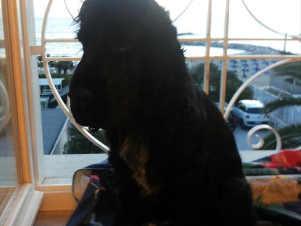 Residence Villa Piani e Appartamenti Villa Livia - foto 27156.jpg