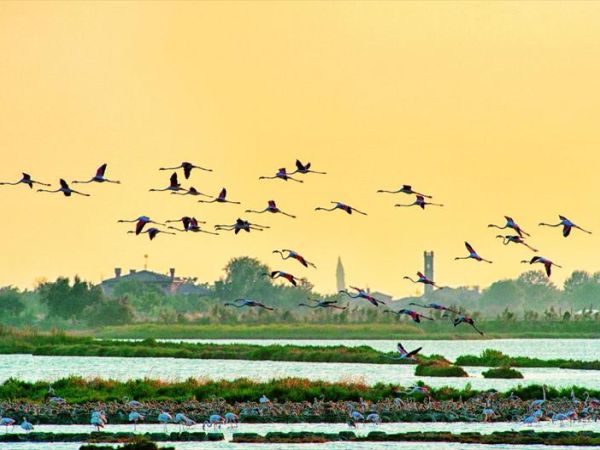 Union Lido - foto 27193.jpg