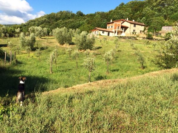 Agriturismo La Fontaccia - foto 27207.jpg