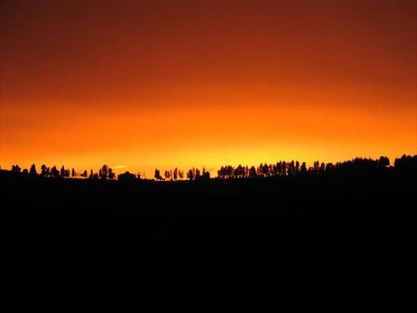 Agriturismo La Fontaccia - foto 27208.jpg