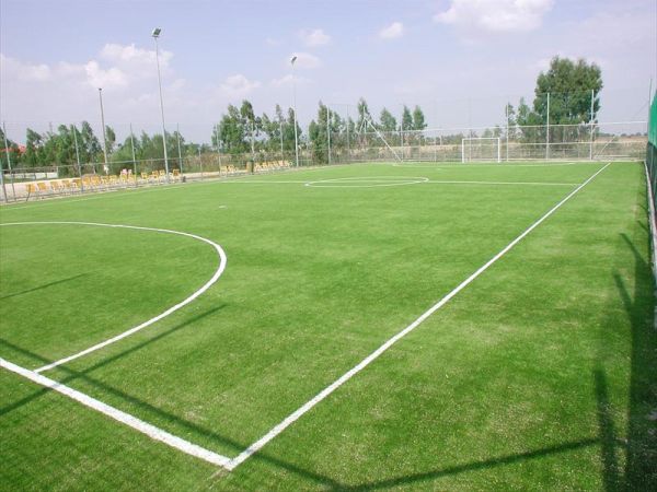 Fattoria La Principina  - foto 27238.jpg