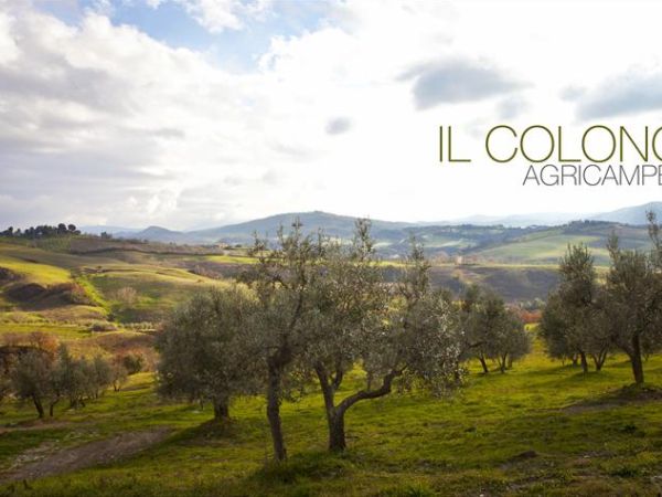 Agricampeggio Il Colono - foto 27333.jpg