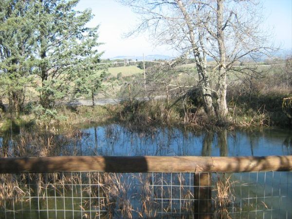 Agricampeggio Il Colono - foto 27336.jpg