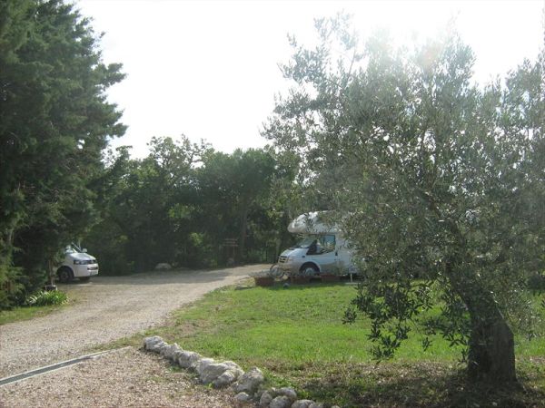 Agricampeggio Il Colono - foto 27344.jpg