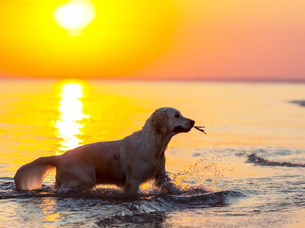 Giulia Hotel - foto 27353.jpg