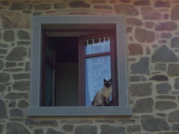 Podere il Corniolino - foto 27534.jpg