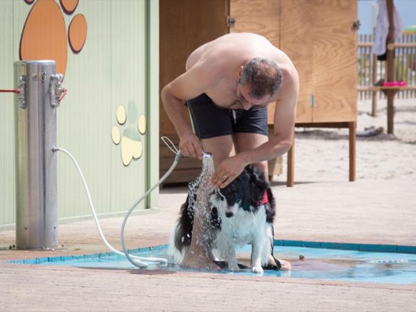 Bagno Tamerici Dog  - foto 27549.jpg