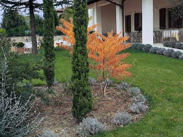 Hotel Rutiliano - foto 6901.jpg