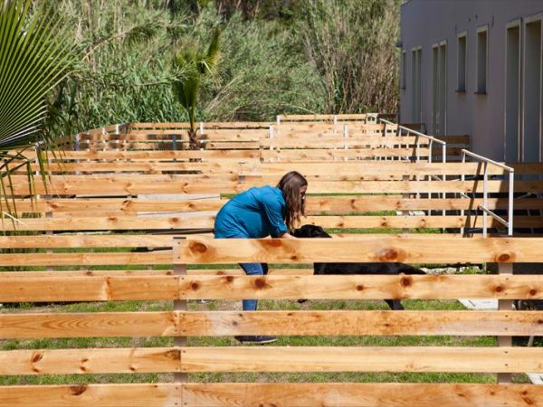 Plana Resort - foto 27712.jpg