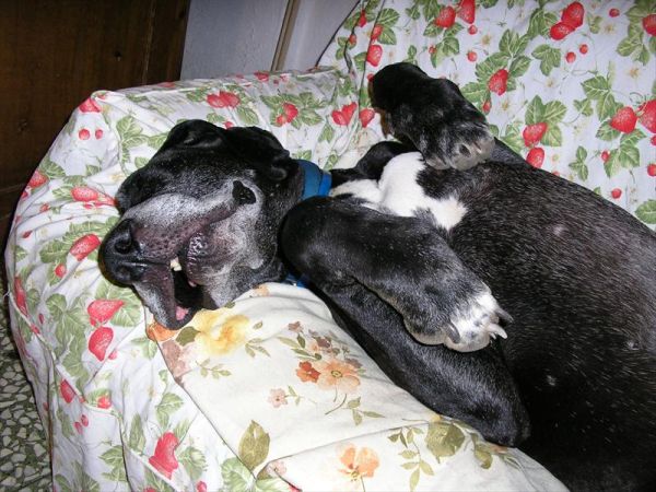 B&B cascina Cin Cin - foto 27718.jpg