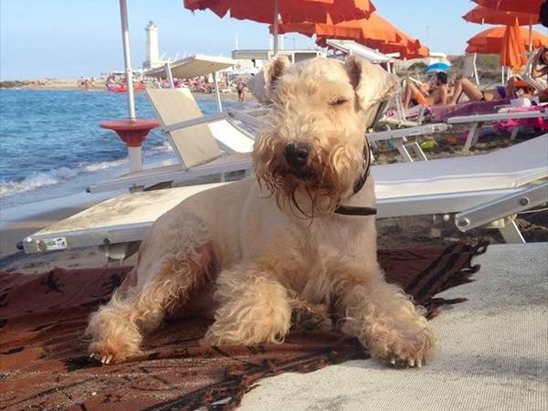 Soleluna Lido Bau Beach  - foto 27776.jpg